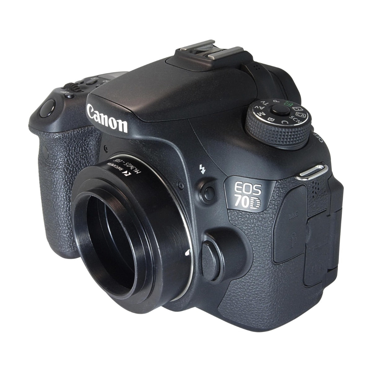 Canon EOS back for Minolta auto Bellows III