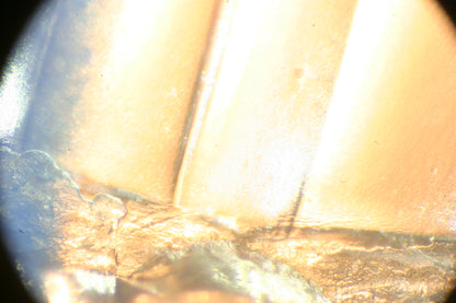 23mm eyepiece tube to C-mount adapter for microscope